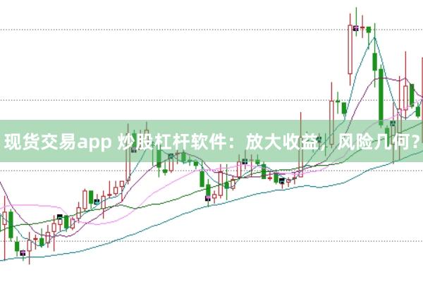 现货交易app 炒股杠杆软件：放大收益，风险几何？