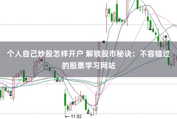 个人自己炒股怎样开户 解锁股市秘诀：不容错过的股票学习网站