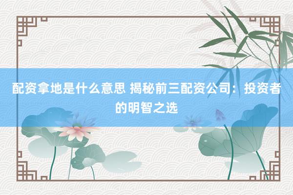 配资拿地是什么意思 揭秘前三配资公司：投资者的明智之选