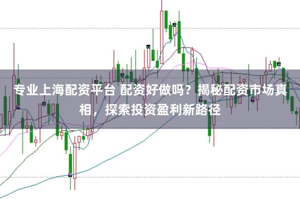 专业上海配资平台 配资好做吗？揭秘配资市场真相，探索投资盈利新路径