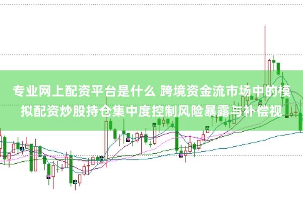专业网上配资平台是什么 跨境资金流市场中的模拟配资炒股持仓集中度控制风险暴露与补偿视