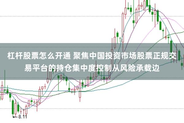 杠杆股票怎么开通 聚焦中国投资市场股票正规交易平台的持仓集中度控制从风险承载边