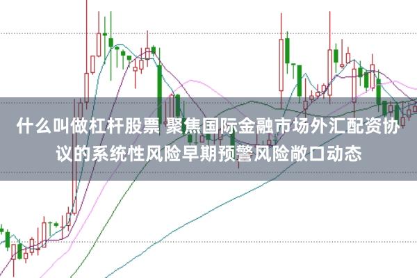 什么叫做杠杆股票 聚焦国际金融市场外汇配资协议的系统性风险早期预警风险敞口动态