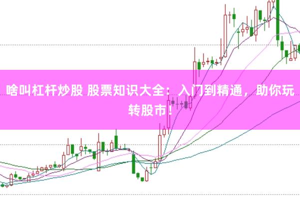 啥叫杠杆炒股 股票知识大全：入门到精通，助你玩转股市！