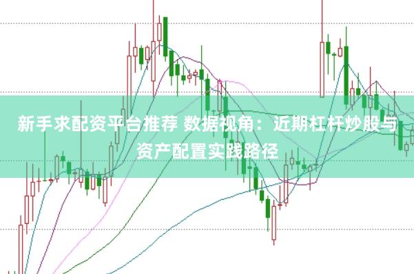 新手求配资平台推荐 数据视角：近期杠杆炒股与资产配置实践路径