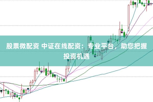 股票微配资 中证在线配资：专业平台，助您把握投资机遇